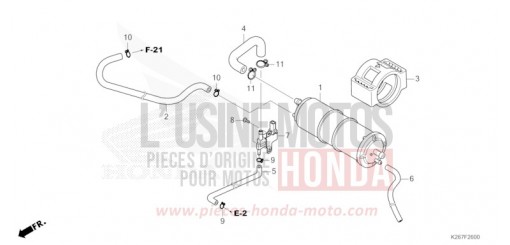 CUVETTE MSX125AP de 2023